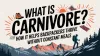 What Is Carnivore? How It Helps Backpackers Thrive Without Constant Meals