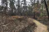 The Lone Star Hiking Trail after fresh burns: Texas' Best-Kept Outdoor Secret