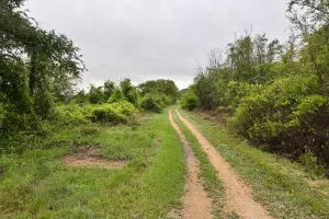 Thru-Hiking the Goodwater Loop: A Perfect Training Loop in Texas